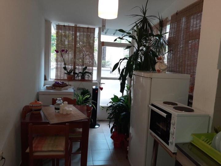 Guest House Ivan Budva Luaran gambar